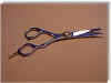 Salon Scissors sprite.jpg (16751 bytes)